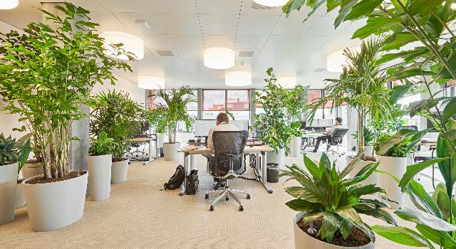 Swiss Startup - Oxygen at Work AG  Main Image