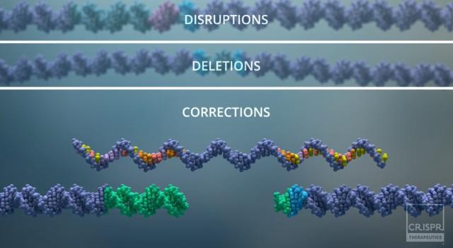 Swiss Startup - Crispr Therapeutics Product Image