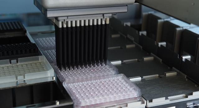 Swiss Startup - InSphero Additional Image