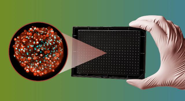 Swiss Startup - InSphero Main Image