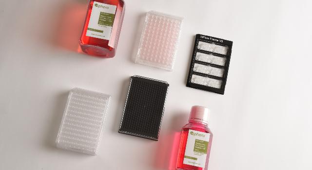 Swiss Startup - InSphero Product Image