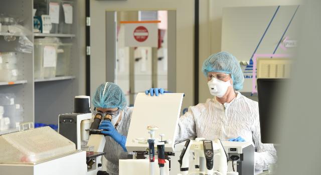 Swiss Startup - InSphero Team Image