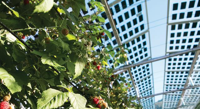 Swiss Startup - Insolight Main Image