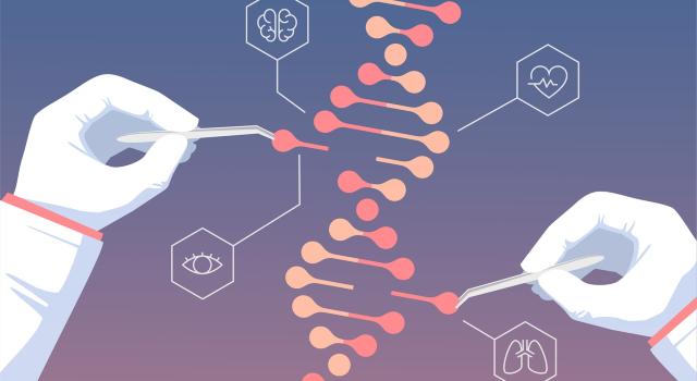 Swiss Startup - Nerai Bioscience Product Image