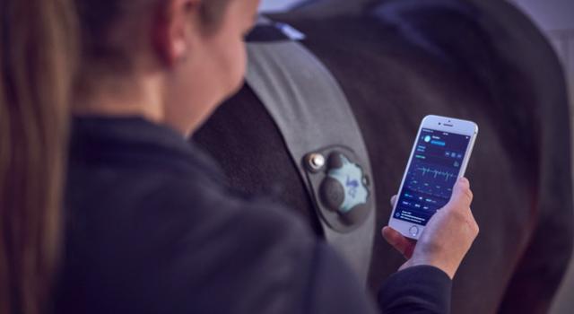 Swiss Startup - Piavita Additional Image