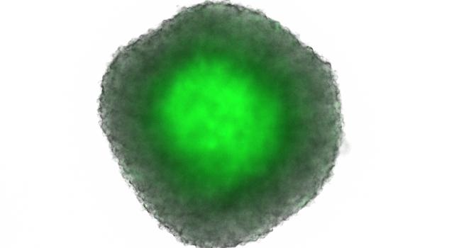 Swiss Startup - TOLREMO therapeutics Additional Image