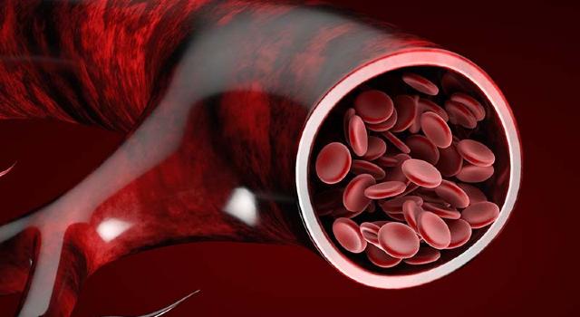 Swiss Startup - Xeltis Additional Image