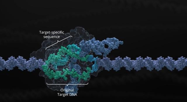 Crsp Crispr Therapeutics AG - top100startup.ch